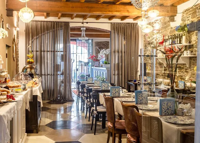 Angiolina'S Farm